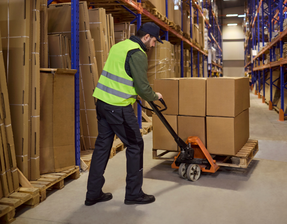 Pallet Racking for Cold Storage Singapore: Coating & Layout